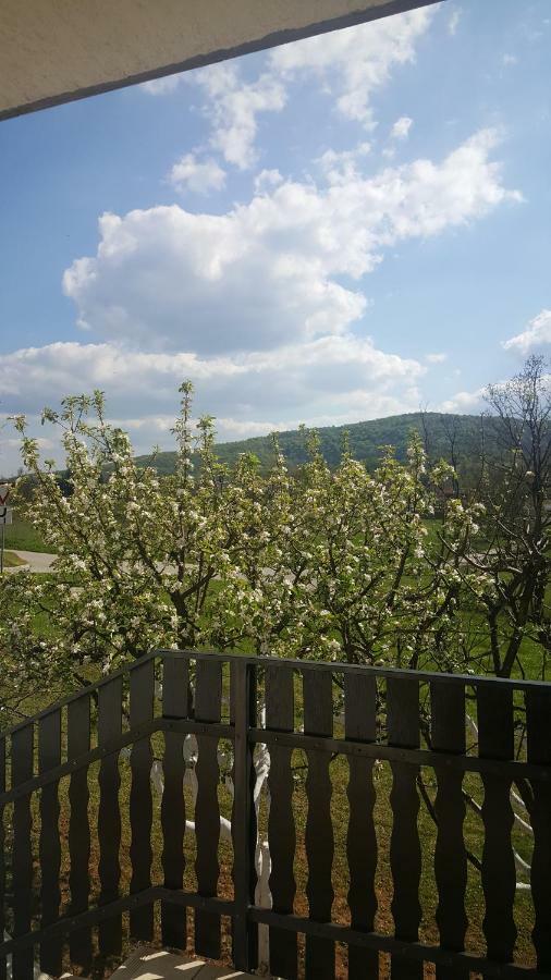 Apartment Silvia Слуни Екстериор снимка